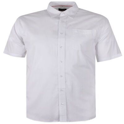 PERRONE OXFORD PLAIN S/S SHIRT-shirts casual & business-KINGSIZE BIG & TALL