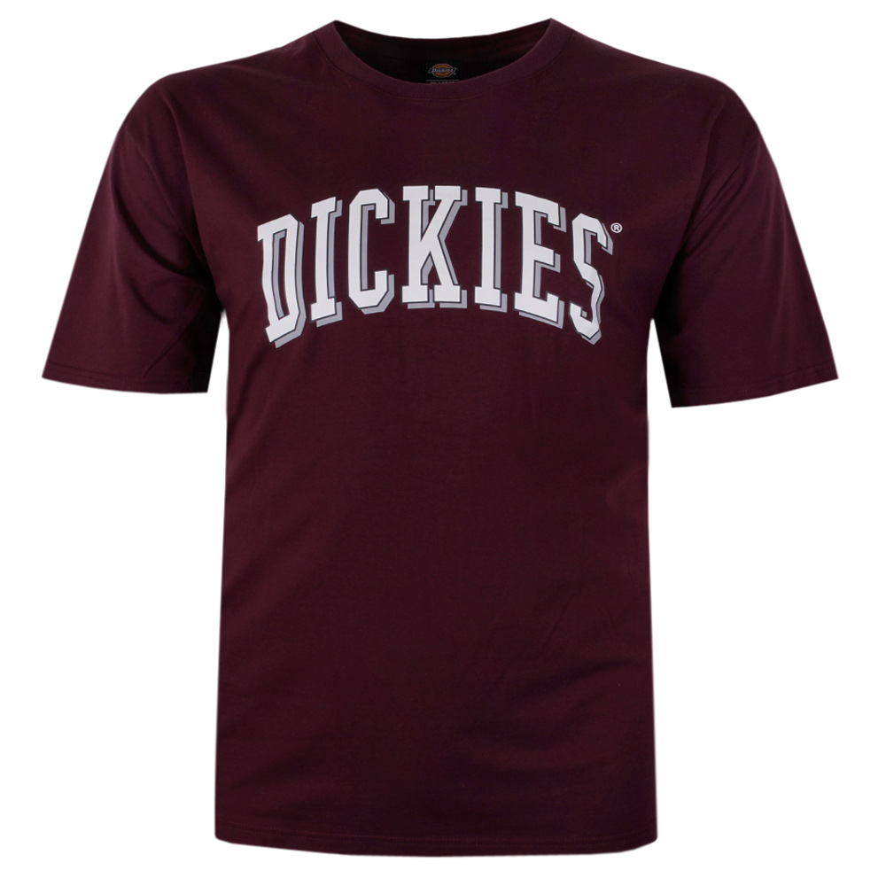 DICKIES 24 BLOCKED LONGVIEW T-SHIRT