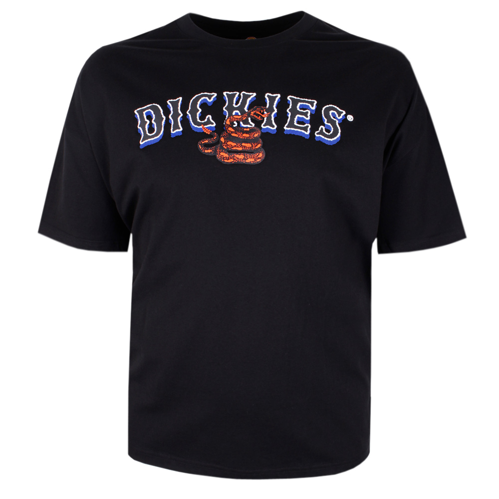 DICKIES TEX SNAKE RELAXED T-SHIRT 