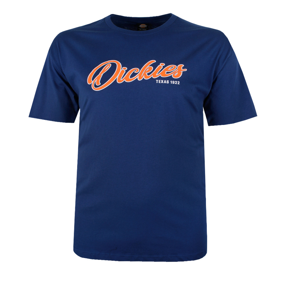 DICKIES ARLINGTON T-SHIRT