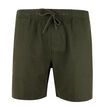OLIVE COLOUR 2